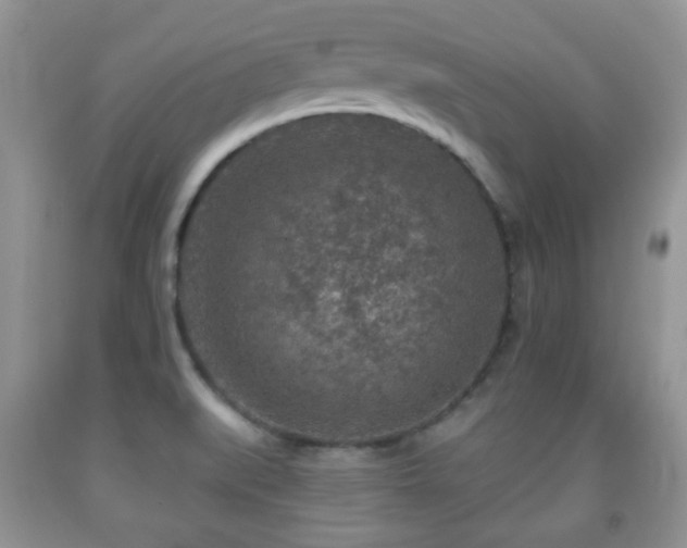 X0000091951519200709061230