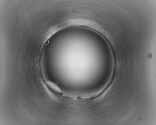 X0000091951521200709061230
