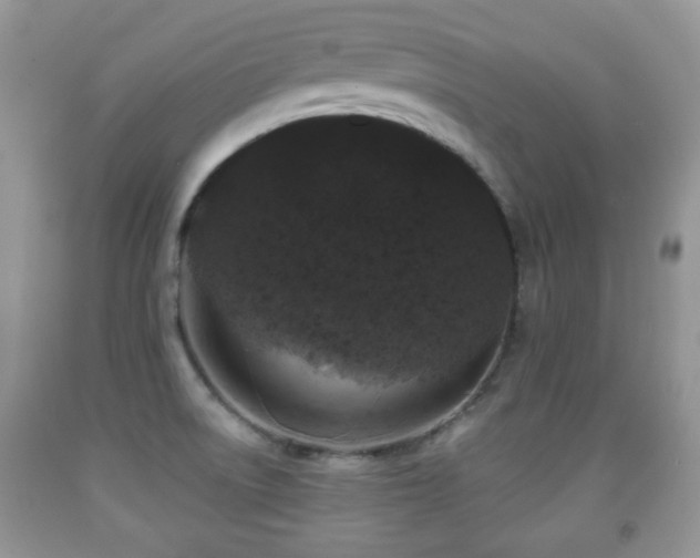 X0000091951522200709061230