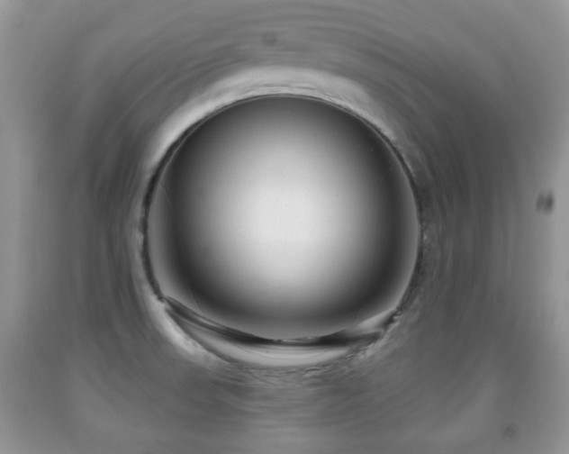 X0000091951523200709061230