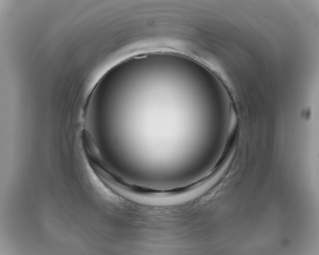 X0000091951524200709061230