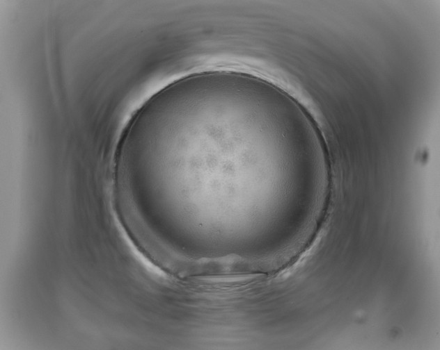 X0000091951525200709061230