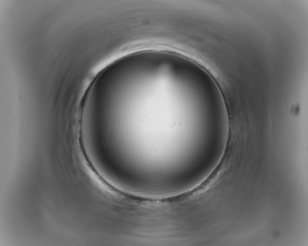 X0000091951526200709061230