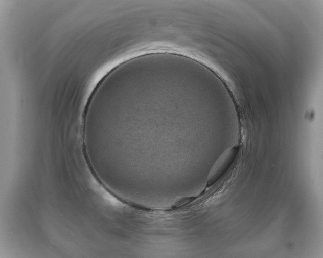 X0000091951527200709061230