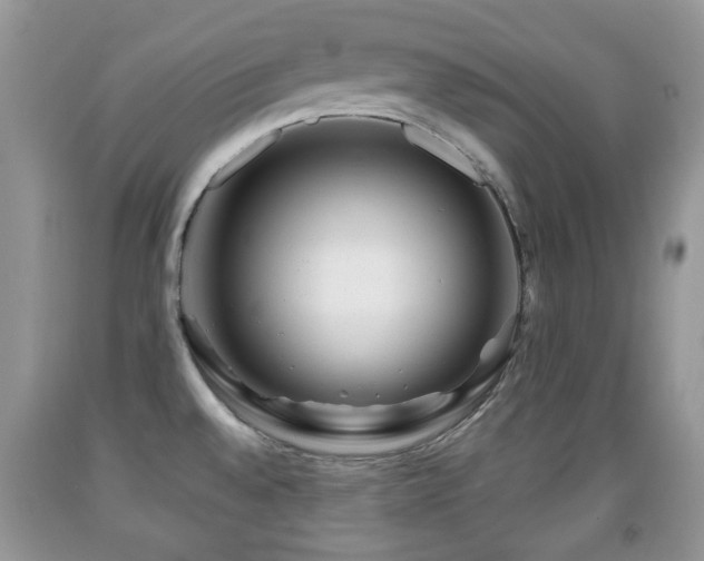 X0000091951528200709061230