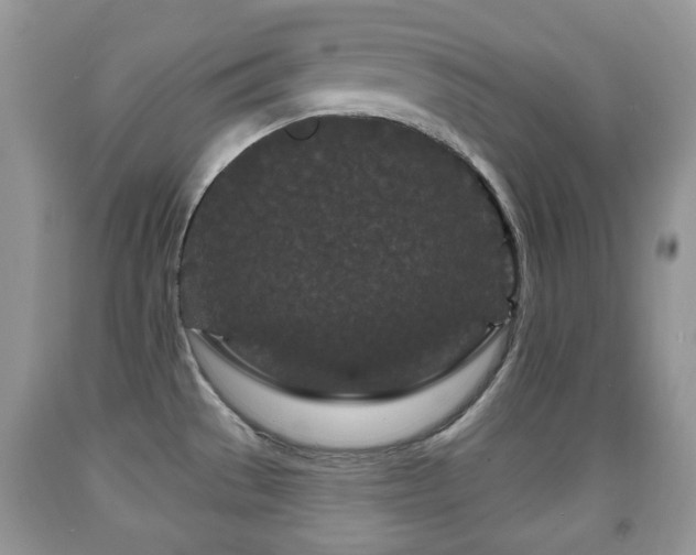 X0000091951529200709061230