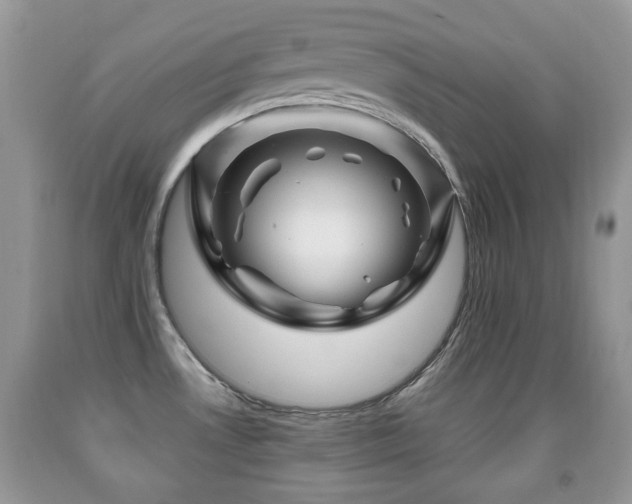 X0000091951530200709061230