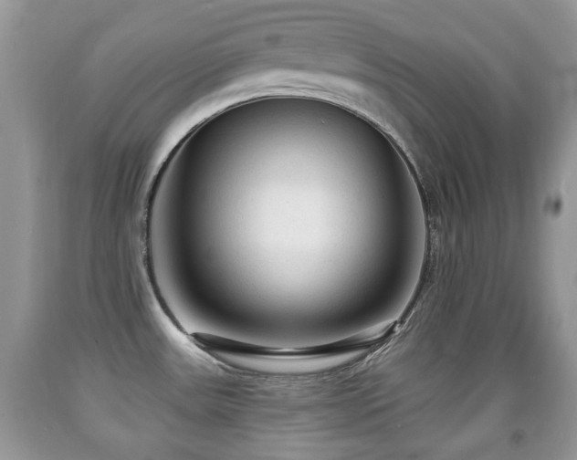 X0000091951531200709061230