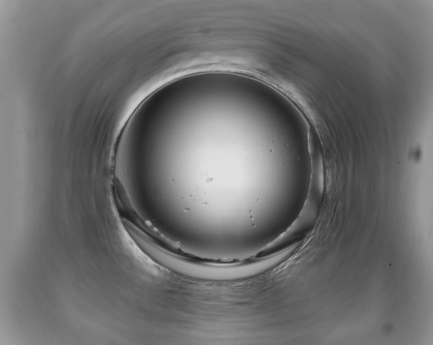 X0000091951532200709061230