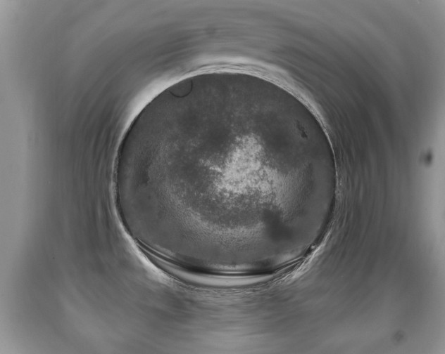 X0000091951533200709061230