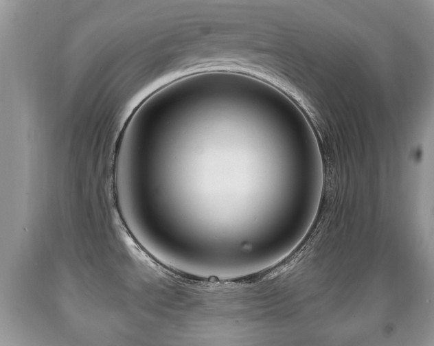 X0000091951534200709061230