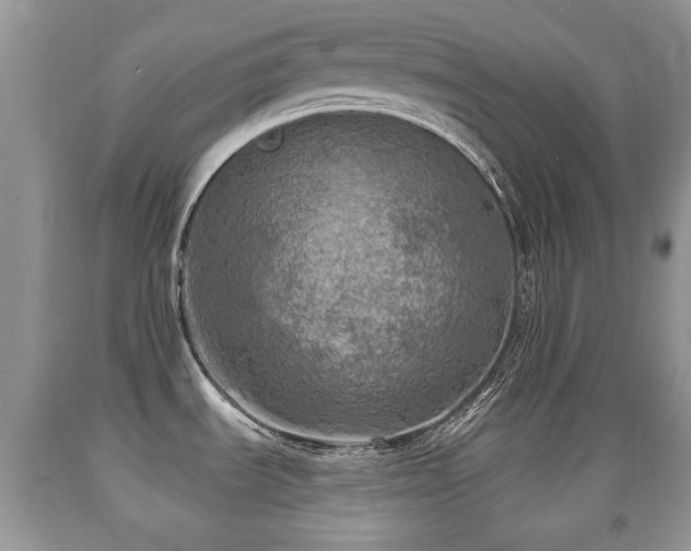 X0000091951535200709061230