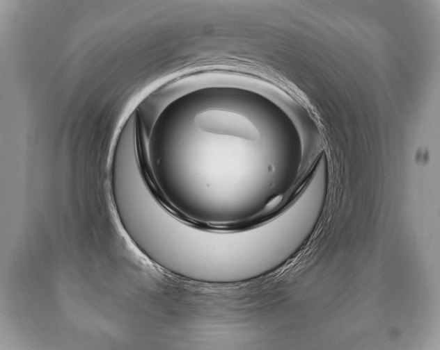 X0000091951536200709061230