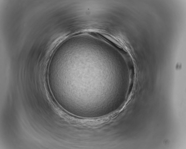 X0000091950001200709131213