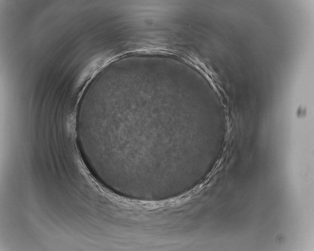 X0000091950002200709131213