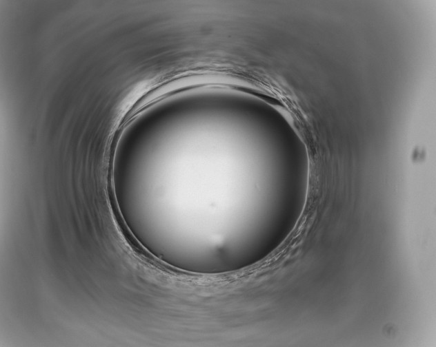 X0000091950003200709131213