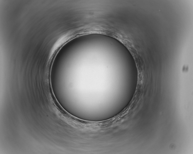 X0000091950004200709131213