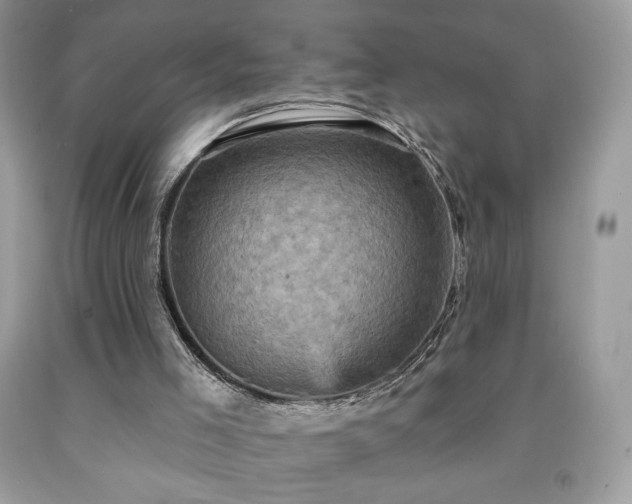 X0000091950005200709131213