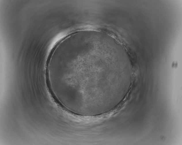 X0000091950006200709131213