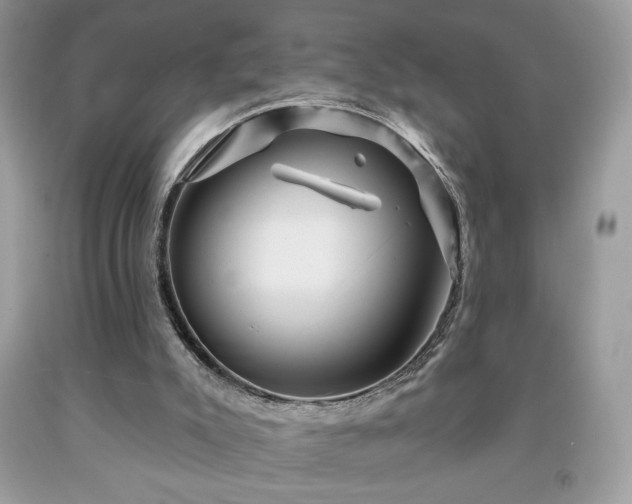 X0000091950007200709131213