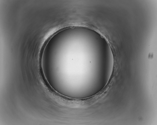 X0000091950008200709131213