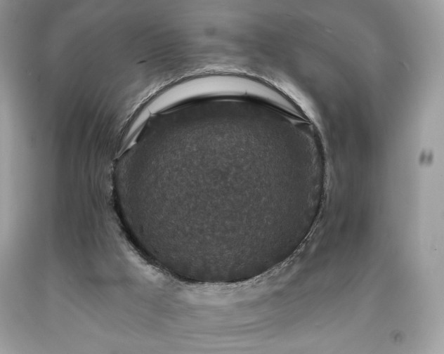 X0000091950009200709131213