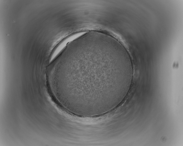 X0000091950010200709131213