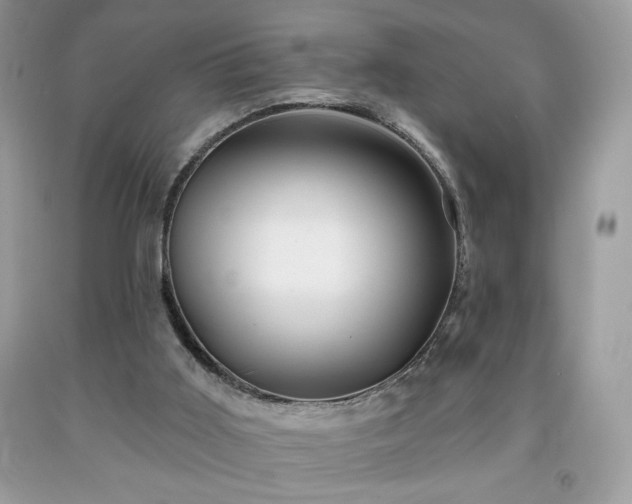 X0000091950011200709131213