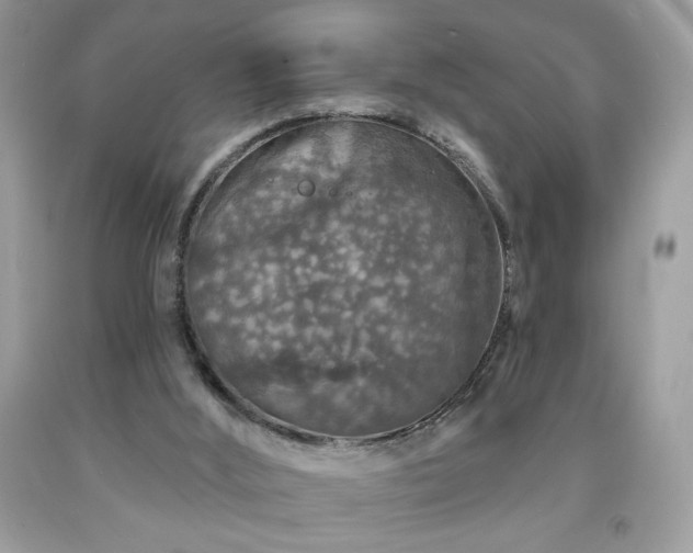 X0000091950012200709131213