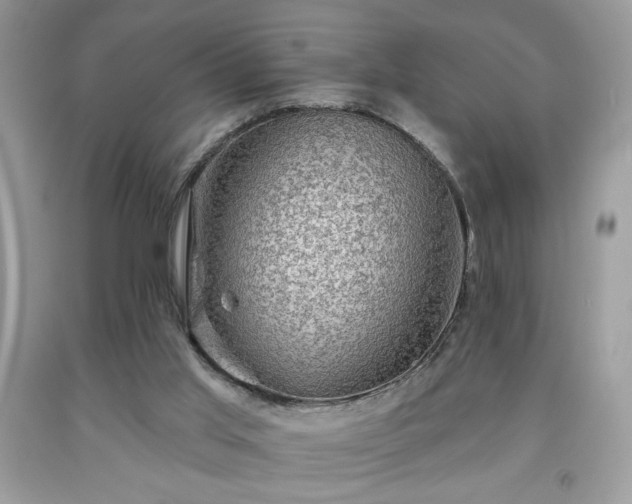 X0000091950013200709131213