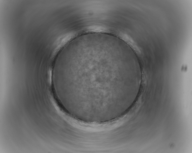 X0000091950014200709131213