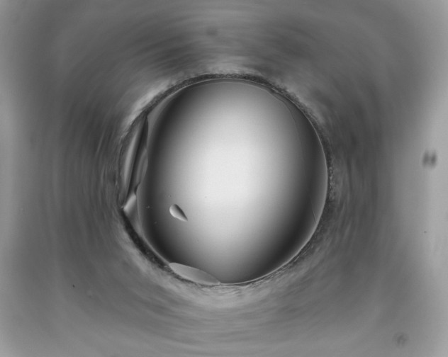 X0000091950015200709131213