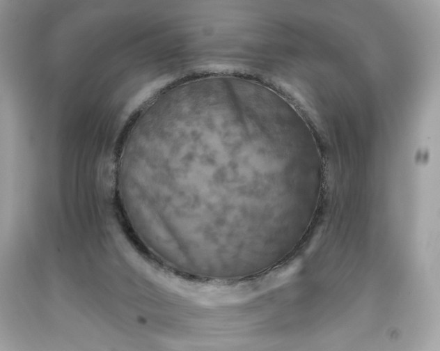 X0000091950016200709131213