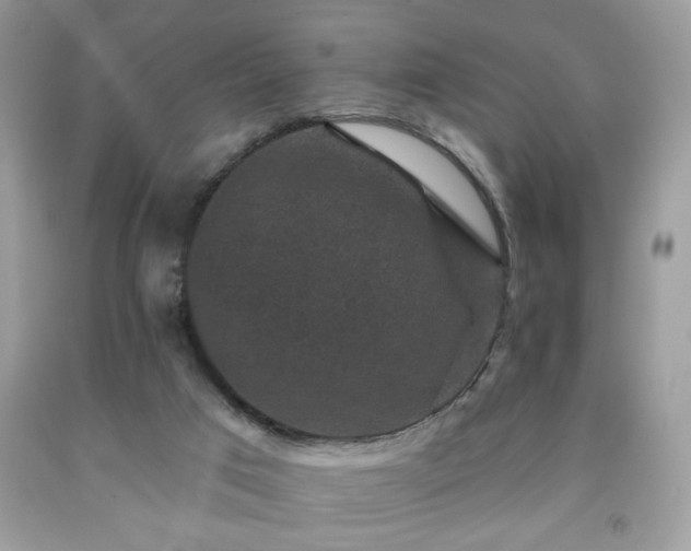 X0000091950017200709131213