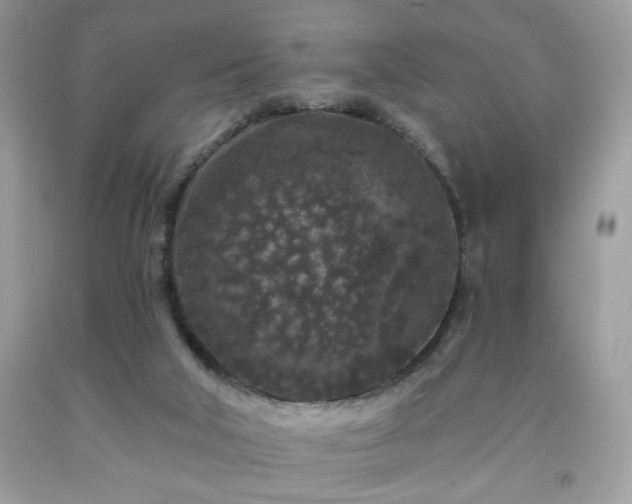 X0000091950018200709131213