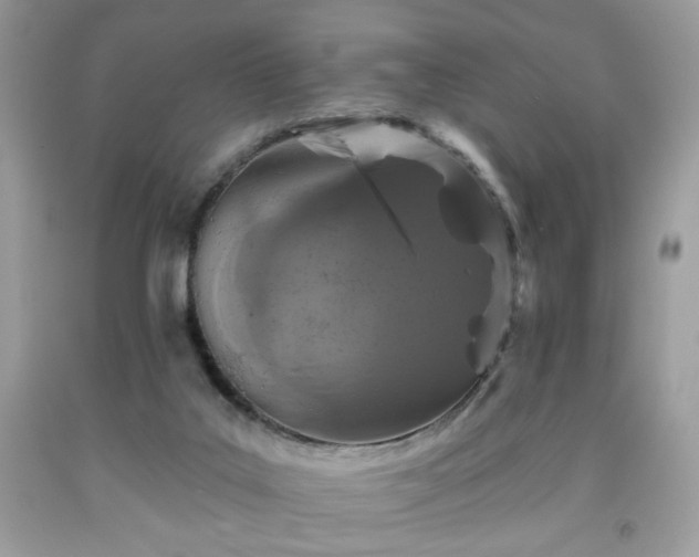 X0000091950019200709131213