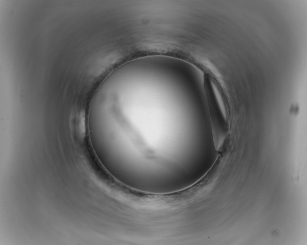 X0000091950020200709131213