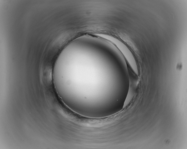 X0000091950021200709131213