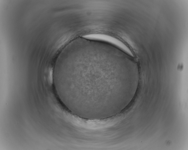 X0000091950022200709131213