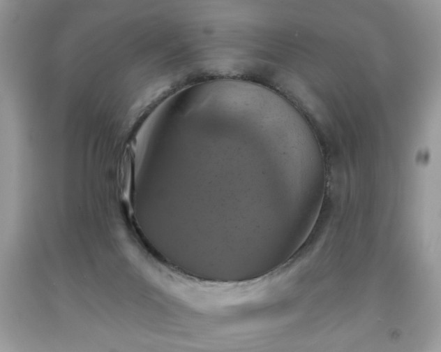 X0000091950023200709131213