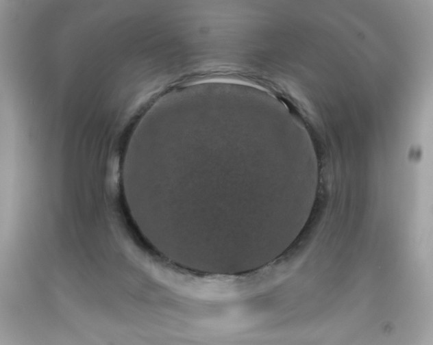 X0000091950024200709131213