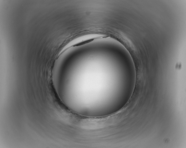 X0000091950025200709131213