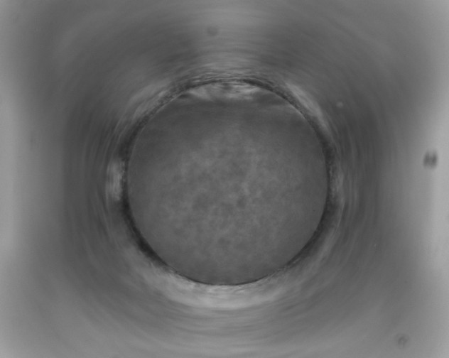 X0000091950026200709131213