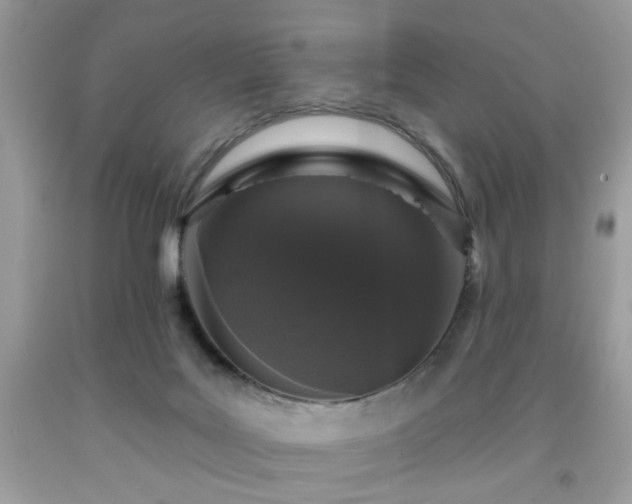 X0000091950027200709131213