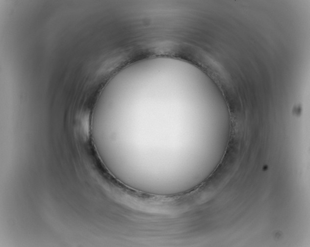 X0000091950028200709131213