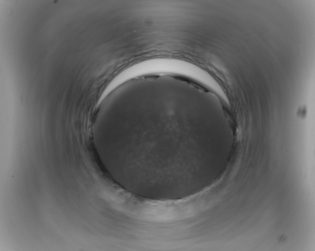 X0000091950029200709131213