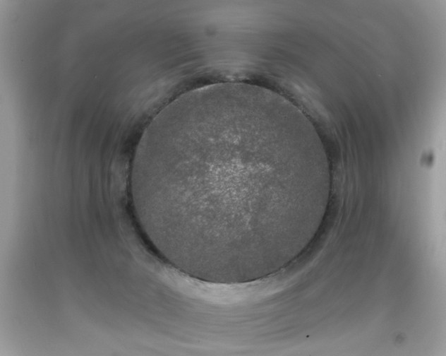 X0000091950030200709131213