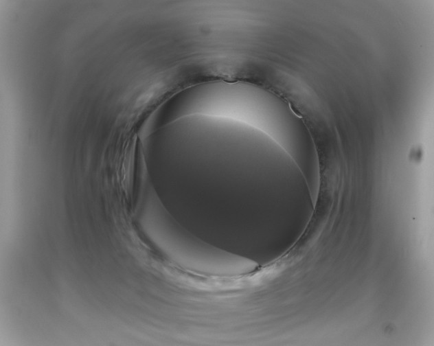 X0000091950031200709131213