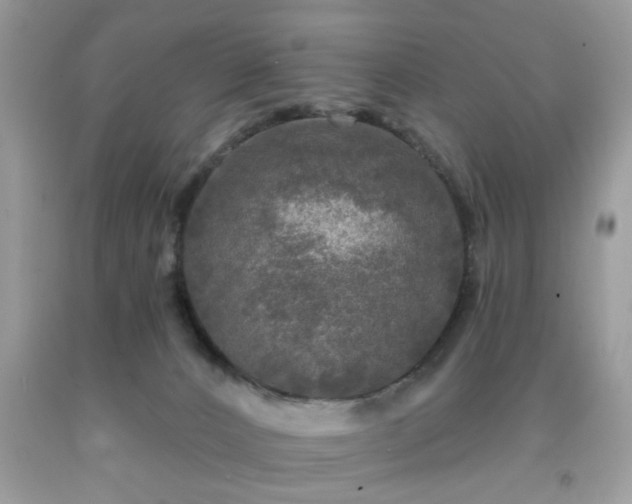 X0000091950032200709131213