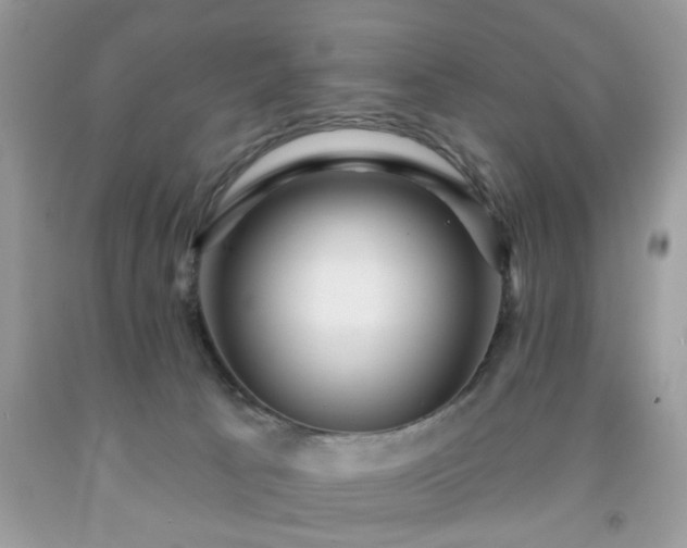 X0000091950033200709131213